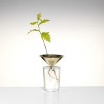 FLOATING FOREST SERIES BY MICHAEL ANASTASSIADES
